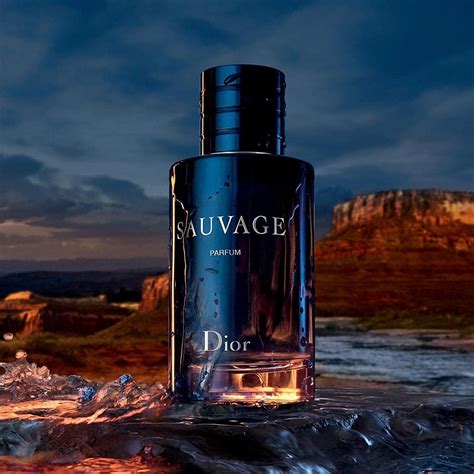 dior sauvage müler|dior sauvage best price.